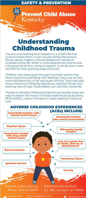Understanding Childhood Trauma (Bundle of 25)